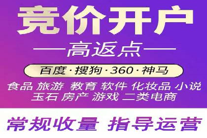 某电商平台的SEM广告投放策略及效果评估